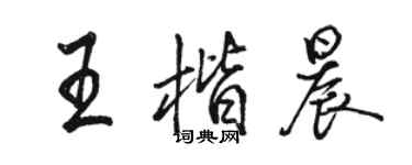 駱恆光王楷晨行書個性簽名怎么寫