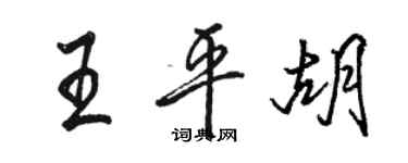 駱恆光王平胡行書個性簽名怎么寫