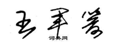 朱錫榮王軍箭草書個性簽名怎么寫