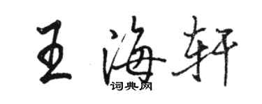 駱恆光王海軒行書個性簽名怎么寫