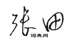 駱恆光張田草書個性簽名怎么寫