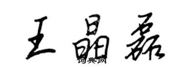 王正良王晶磊行書個性簽名怎么寫