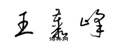 梁錦英王叢峰草書個性簽名怎么寫