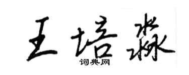 王正良王培淼行書個性簽名怎么寫