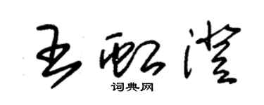 朱錫榮王虹澄草書個性簽名怎么寫