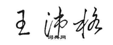 駱恆光王沛格草書個性簽名怎么寫
