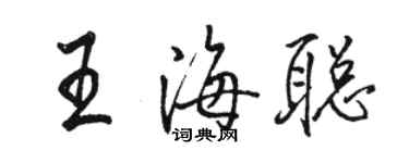 駱恆光王海聰行書個性簽名怎么寫