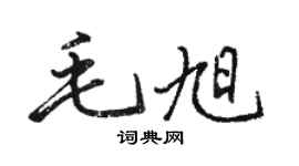 駱恆光毛旭行書個性簽名怎么寫
