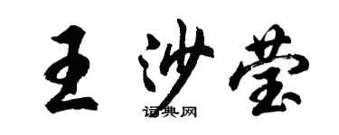 胡問遂王沙瑩行書個性簽名怎么寫