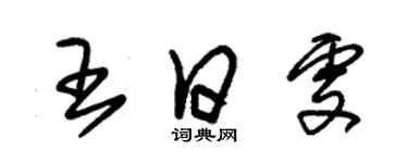 朱錫榮王日雯草書個性簽名怎么寫
