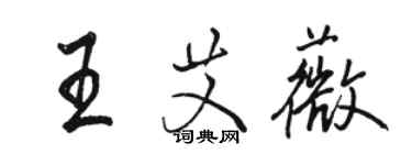 駱恆光王艾薇行書個性簽名怎么寫