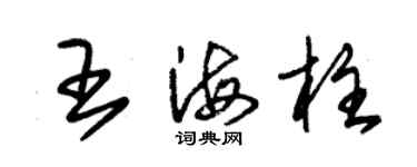 朱錫榮王海柱草書個性簽名怎么寫