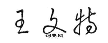 駱恆光王文特草書個性簽名怎么寫