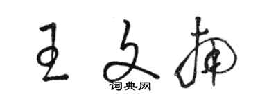 駱恆光王文南草書個性簽名怎么寫