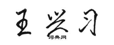 駱恆光王興習行書個性簽名怎么寫