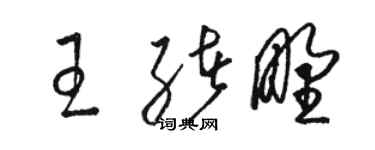 駱恆光王緒野草書個性簽名怎么寫