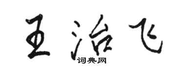 駱恆光王治飛行書個性簽名怎么寫