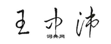 駱恆光王中沛草書個性簽名怎么寫