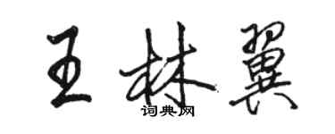 駱恆光王林翼行書個性簽名怎么寫