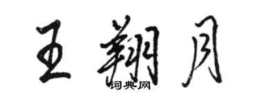 駱恆光王翔月行書個性簽名怎么寫