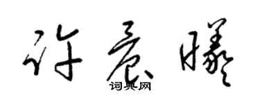 梁錦英許晨曦草書個性簽名怎么寫