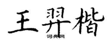 丁謙王羿楷楷書個性簽名怎么寫