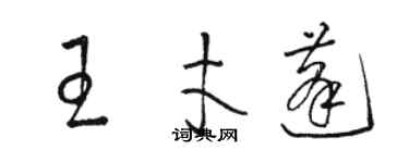 駱恆光王才蓬草書個性簽名怎么寫