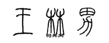 陳墨王林男篆書個性簽名怎么寫