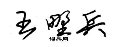 朱錫榮王野兵草書個性簽名怎么寫