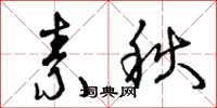 曾慶福素秋草書怎么寫