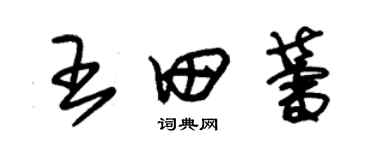 朱錫榮王田蕾草書個性簽名怎么寫