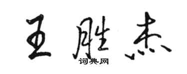 駱恆光王勝傑行書個性簽名怎么寫