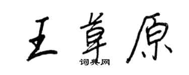 王正良王草原行書個性簽名怎么寫