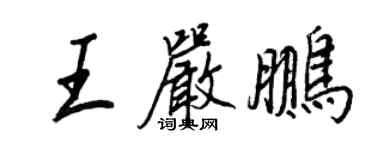 王正良王嚴鵬行書個性簽名怎么寫