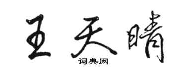 駱恆光王天晴行書個性簽名怎么寫
