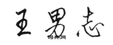 駱恆光王男志行書個性簽名怎么寫