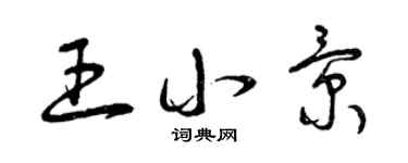 曾慶福王小景草書個性簽名怎么寫
