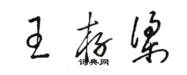 駱恆光王存梁草書個性簽名怎么寫