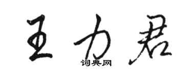 駱恆光王力君行書個性簽名怎么寫