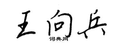 王正良王向兵行書個性簽名怎么寫