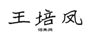 袁強王培鳳楷書個性簽名怎么寫