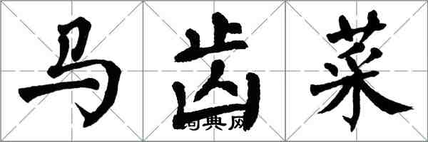 翁闓運馬齒菜楷書怎么寫