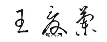 駱恆光王夏蘭草書個性簽名怎么寫