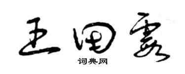 曾慶福王田霞草書個性簽名怎么寫