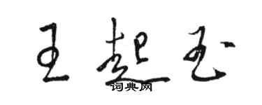 駱恆光王起玉草書個性簽名怎么寫