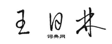 駱恆光王日林草書個性簽名怎么寫