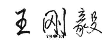 駱恆光王剛毅行書個性簽名怎么寫