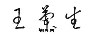 駱恆光王蘭生草書個性簽名怎么寫