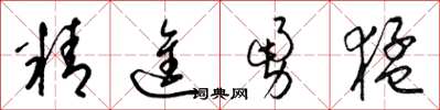 梁錦英精進勇猛草書怎么寫