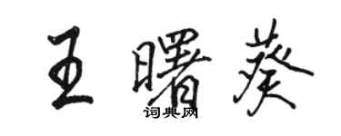 駱恆光王曙葵行書個性簽名怎么寫